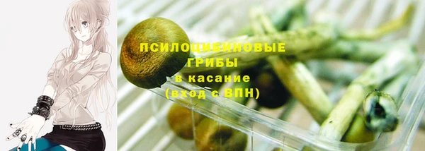 гидропоника Покров