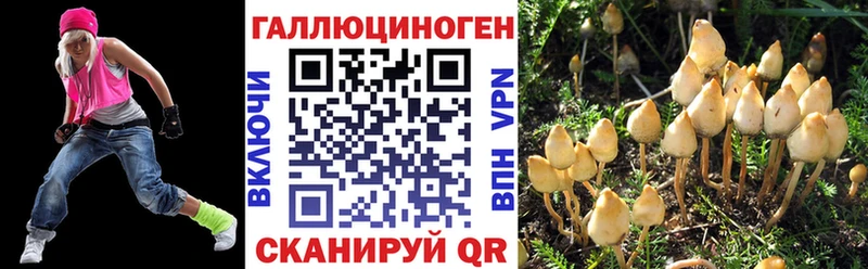 MEGA как зайти Кингисепп нарко площадка какой сайт Галлюциногенные грибы мухоморы
